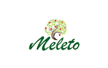 logo design meleto